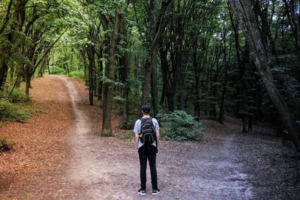 A man in a forest choosing a past for moving forward.